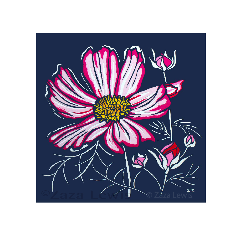 Brushed Magenta Cosmos